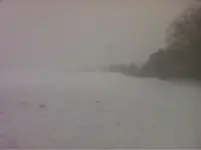 image-3515814858.webp