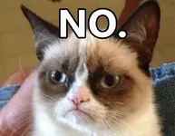 grumpy-cat-says-no.webp