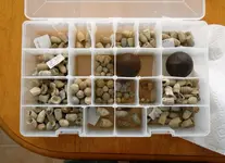 collection.webp