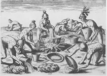 Calusa indians.webp