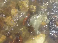 0314141322.webp