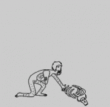 animated.gif