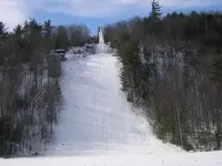 Gunstock.webp
