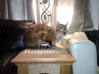 2014-02-20 20.28.29.webp