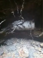 image-1543841125.webp