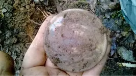 image-3015020766.webp
