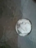 10178042_607187592690278_348394617_n.webp