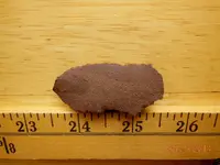 DSCN6945.webp