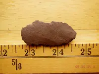 DSCN6947.webp