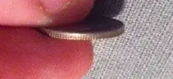 collar.webp