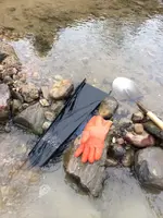 image-1160515226.webp