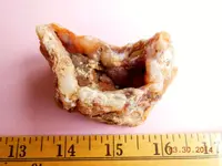 DSCN7482.webp
