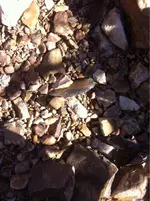 image-1069497502.webp