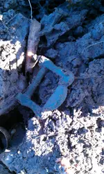 IMAG0720.webp IMAG0720.webp