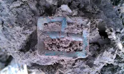 IMAG0725.webp IMAG0725.webp