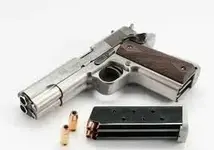 double barrel 45.webp