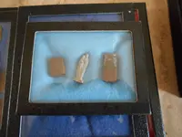 DSCN0022.webp