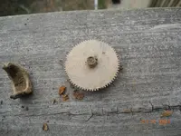 DSCN9812.webp