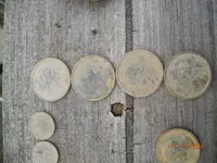 DSCN9813.webp