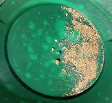 Gold found using Bazooka Gold Trap, S. Forks of Salmon River at Whites Gulch.webp