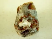 RSCN7027.webp