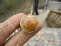 DSCN9816.webp