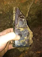 image-1590038122.webp