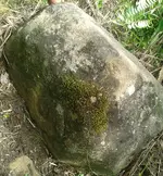 Stone Signs.webp