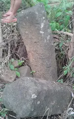 20140316_144716-1.webp