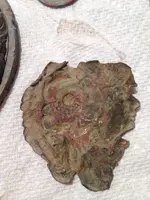 image-3190465848.webp