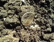 1945 Dime Insti.webp
