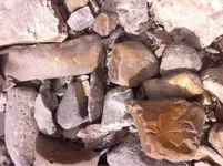 image-1266203763.webp