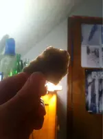 image-1224262734.webp