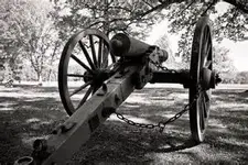 cannon.webp