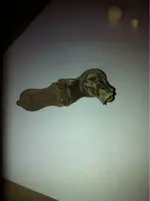 image-2079120251.webp