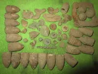 IMG_4049.webp IMG_4049.webp