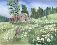 cabin 1.webp