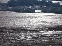 101_7130.webp