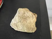 DSCF8517.webp