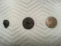 beach finds 2.webp beach finds 2.webp