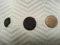 beach finds.webp beach finds.webp