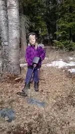 lilydetecting.webp