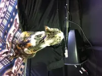 photo.webp