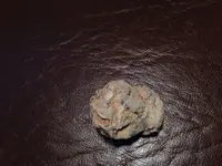 image-3155739170.webp