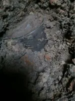 image-3595004842.webp