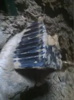image-2754494216.webp