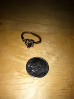 3-26 ring dime.webp 3-26 ring dime.webp
