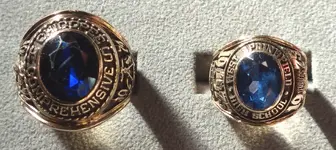 Gail and Marty Rings.webp