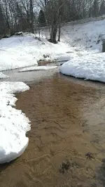 ForumRunner_20140309_114654.webp