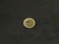 Flat2.webp Flat2.webp